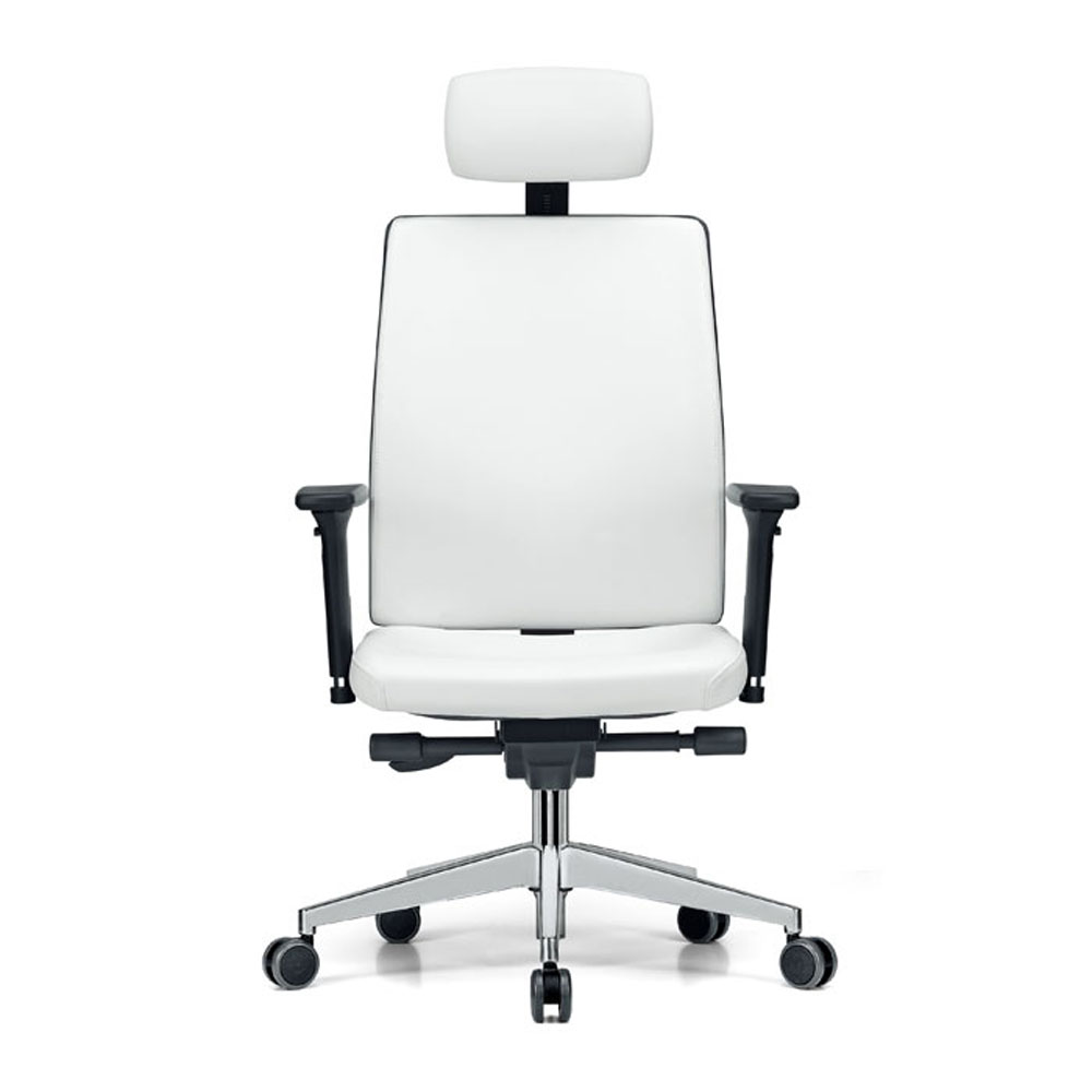 Dynamic Plus 300 office chair